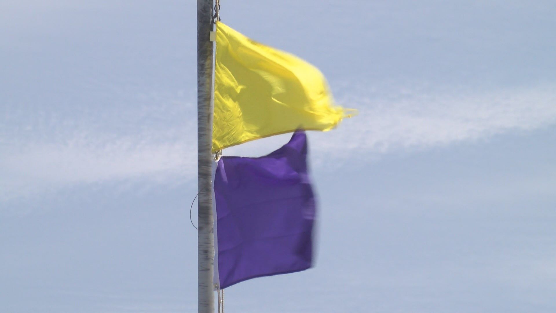 Purple flags warn of ManOWar at Gulf Shores beaches FOX10 News WALA
