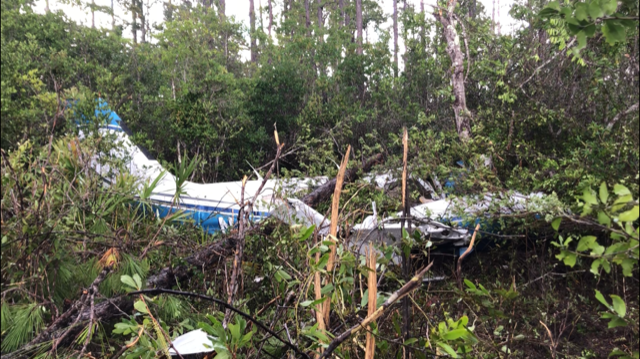 Everyone walks away after plane crashes in thick south Baldwin County woods